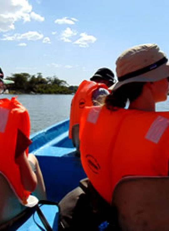 We Provide the Best Safari Experiences